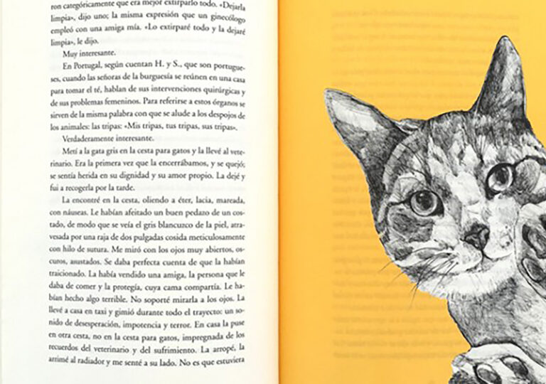 Siete vidas, siete libros para el mes del gato